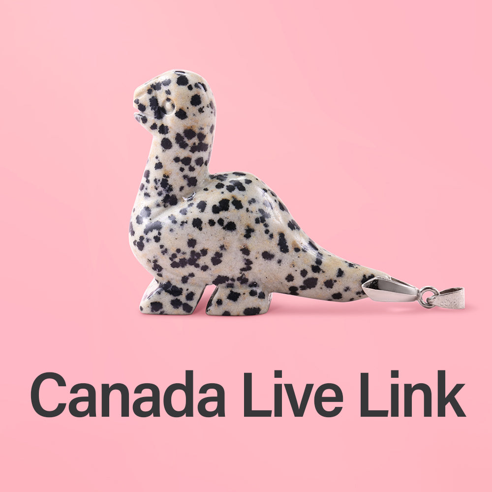 Canada live broadcast room purchase link