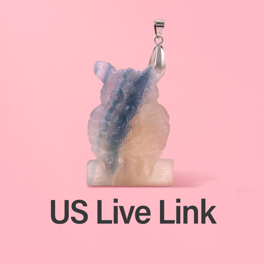 US live broadcast room purchase link